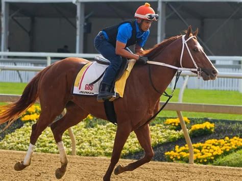 Travers Stakes 2024 predictions, odds, field: Win, .